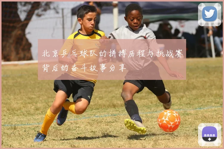 北京乒乓球队的拼搏历程与挑战赛背后的奋斗故事分享