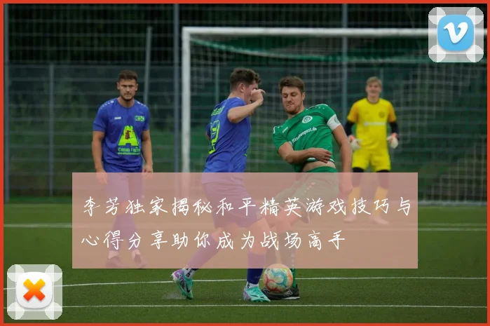 李芳独家揭秘和平精英游戏技巧与心得分享助你成为战场高手